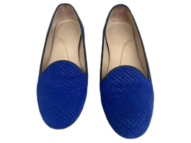 Chatelles Zapatillas azules 